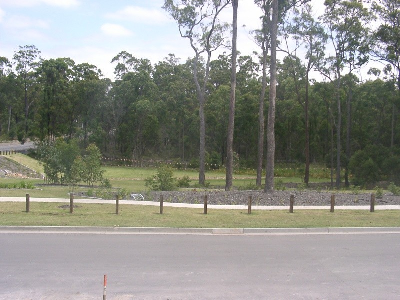 3 Seagreen Drive, Coomera QLD 4209