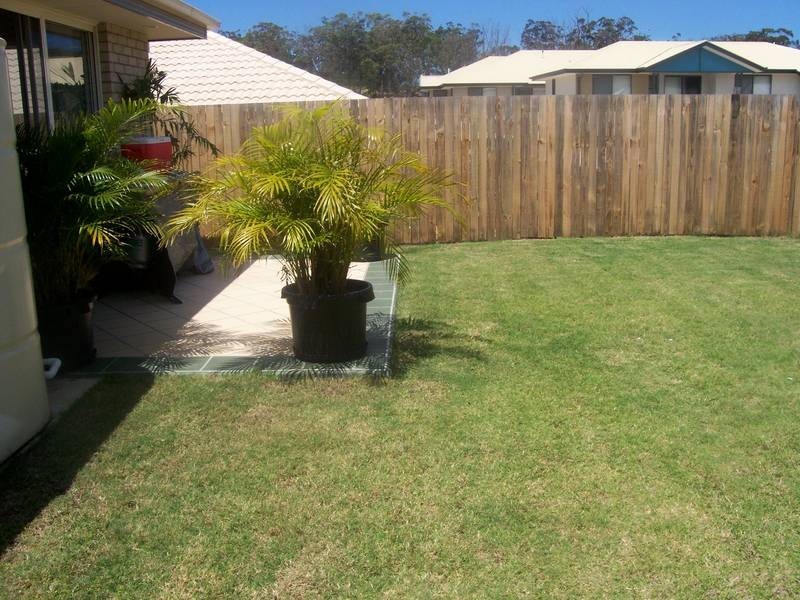 15 Silvergull Street, Coomera QLD 4209