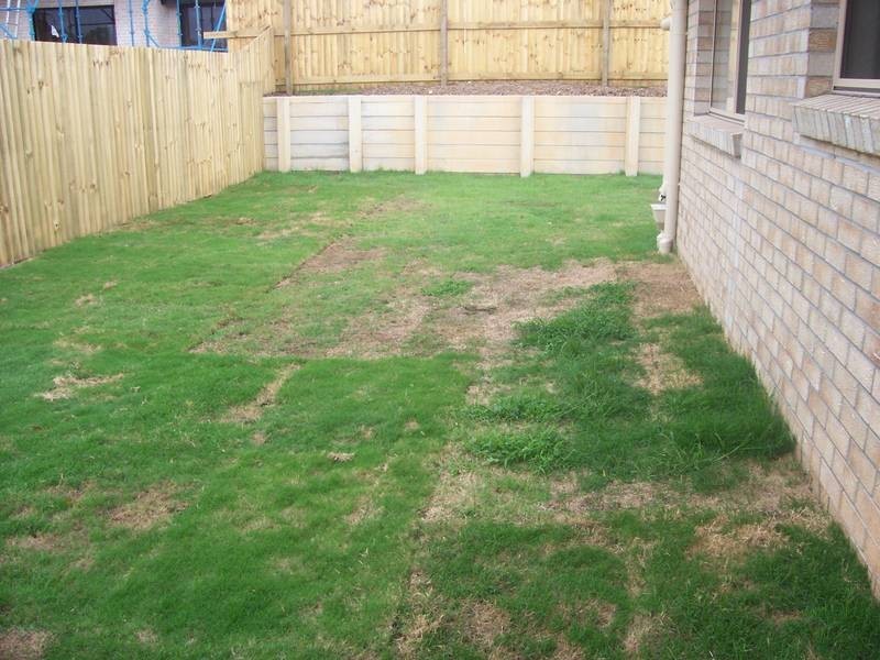 19 Moonie Drive, Coomera QLD 4209