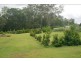77 Ruffles Rd, Willowvale QLD 4370