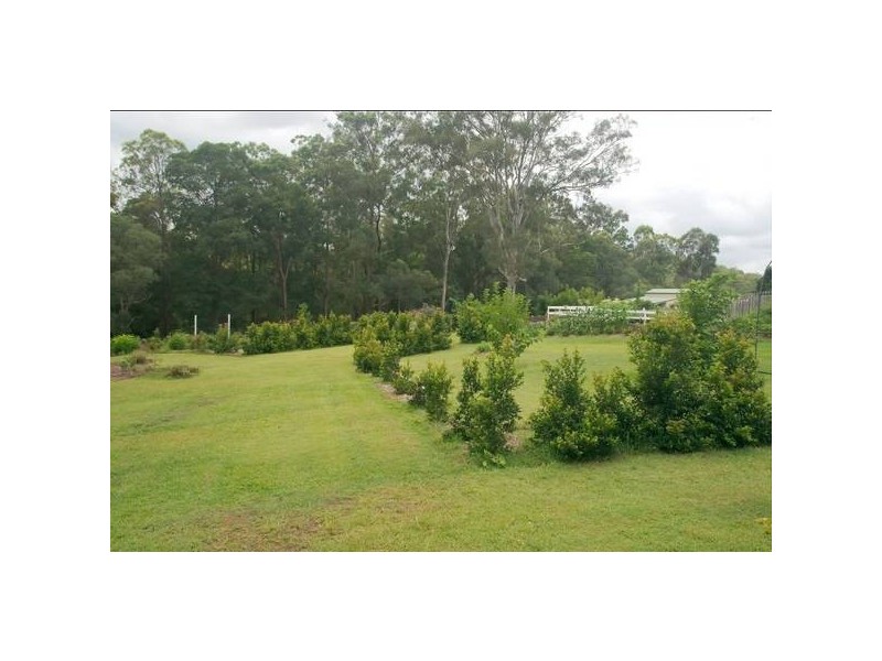 77 Ruffles Rd, Willowvale QLD 4370