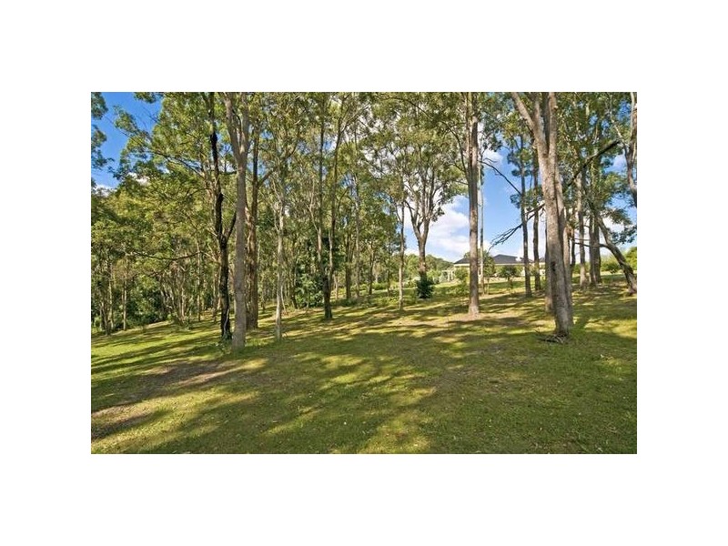 77 Ruffles Rd, Willowvale QLD 4370