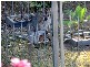 13 Old Kent Road, Upper Coomera QLD 4209