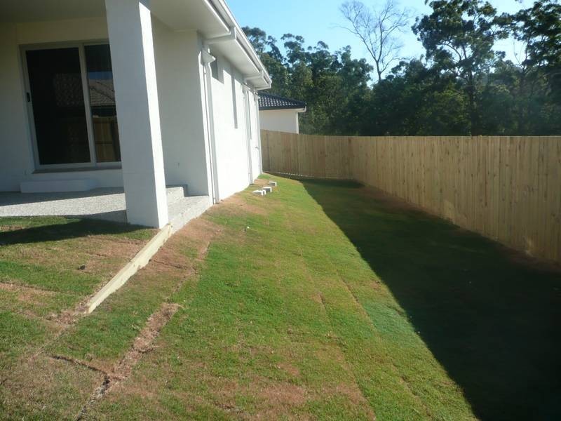 102 Treeline Cct, Upper Coomera QLD 4209