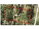 Maudsland QLD 4210