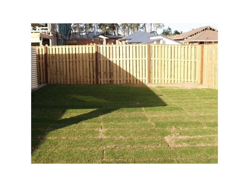 23 Success Crescent, Ormeau QLD 4208