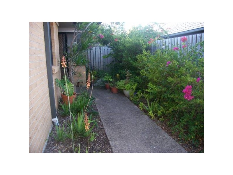 Upper Coomera QLD 4209