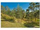 49 Larcombe Drive, Wongawallan QLD 4210
