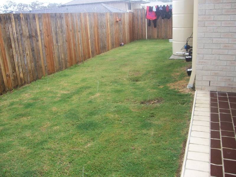 18 Moorhen Street, Coomera QLD 4209