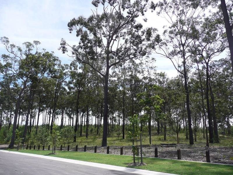16 Elizabeth Street, Coomera QLD 4209