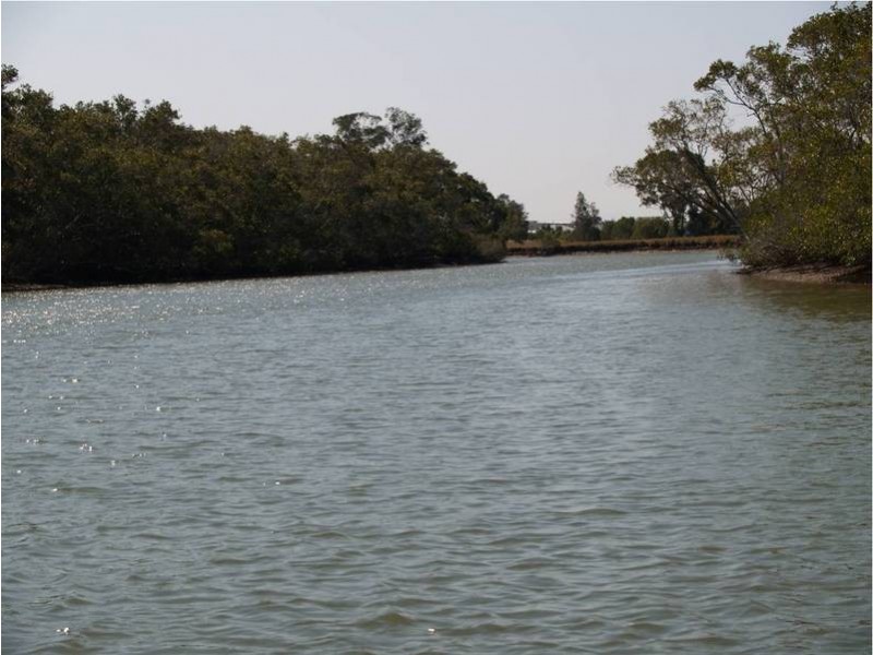 15 Tranquility Circuit, Helensvale QLD 4212