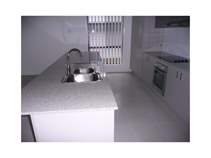 22 Silvergull Street, Coomera QLD 4209