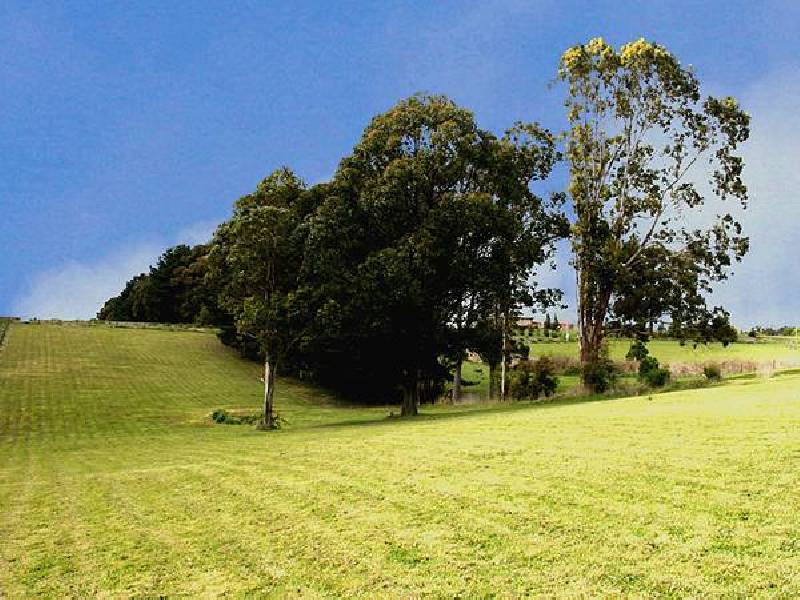 8 Koetong Court, Kinglake VIC 3763