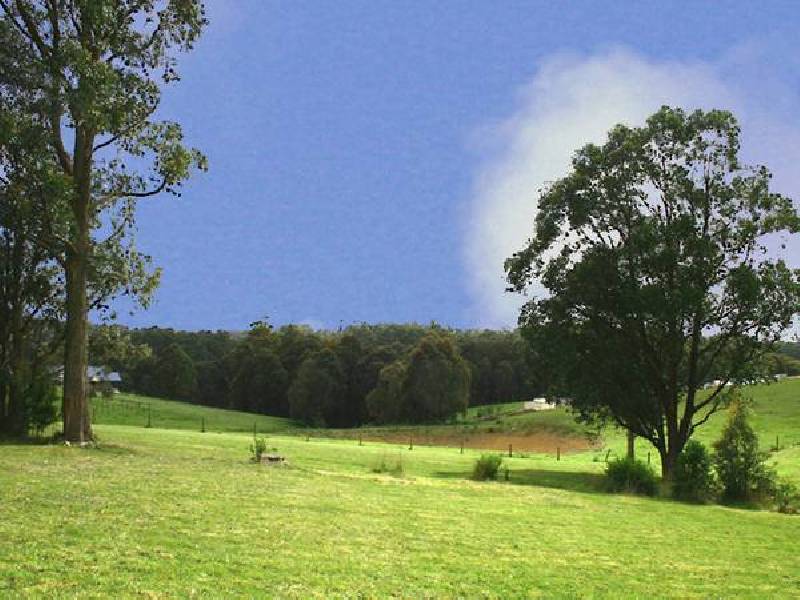 8 Koetong Court, Kinglake VIC 3763