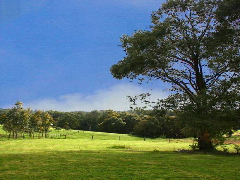 8 Koetong Court, Kinglake VIC 3763