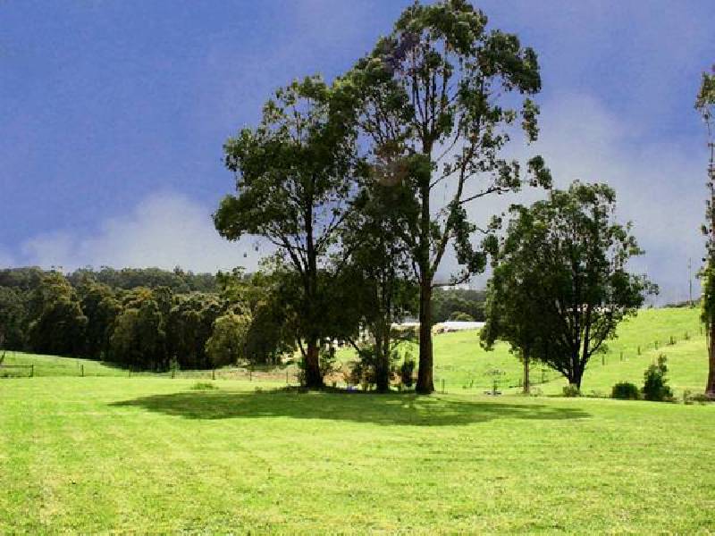 8 Koetong Court, Kinglake VIC 3763