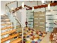 Elmwood Rise, Eltham VIC 3095