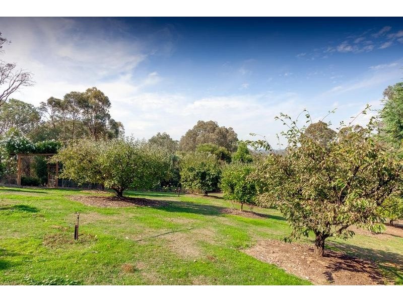 24-49 Springhill Road, Hurstbridge VIC 3099