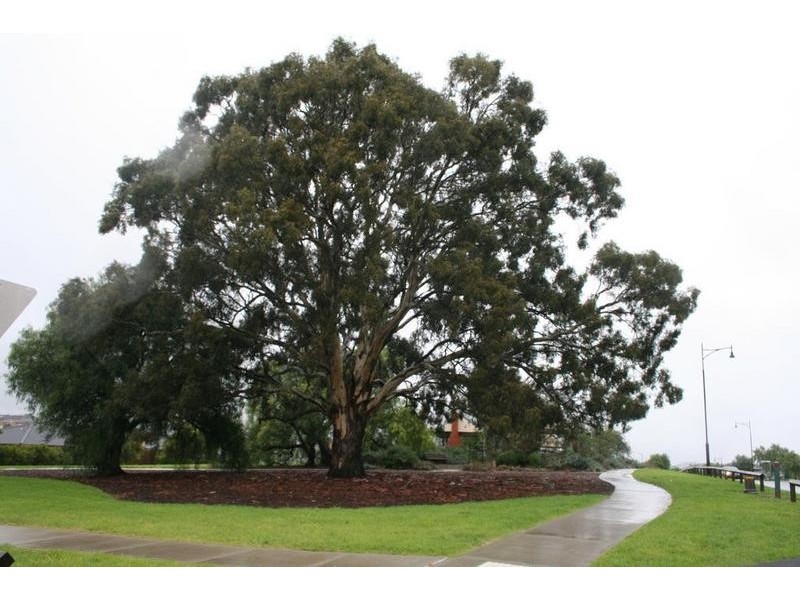 Lot 607,  Painted Hills Road, Doreen VIC 3754