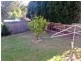 16 Heather Grove, Briar Hill VIC 3088