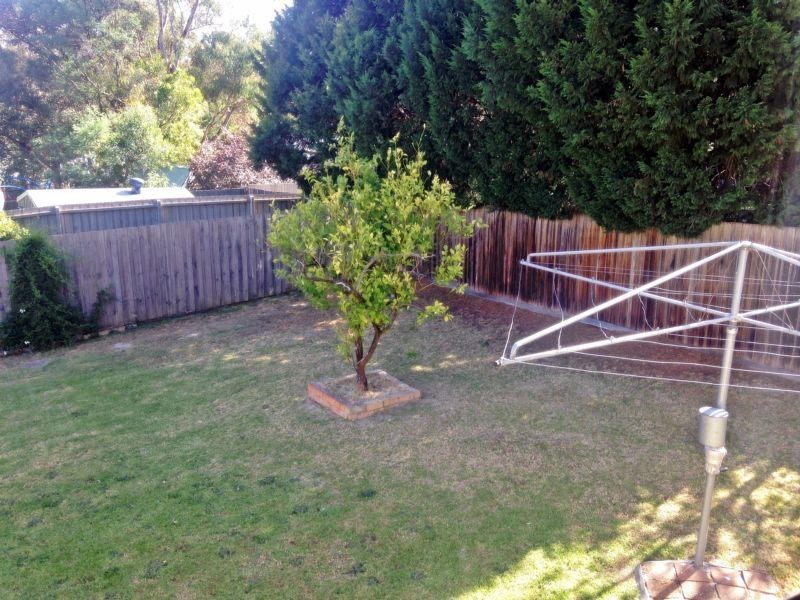 16 Heather Grove, Briar Hill VIC 3088