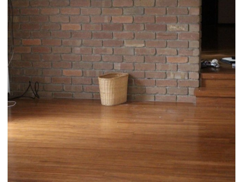 88 St Helena Road, Briar Hill VIC 3088