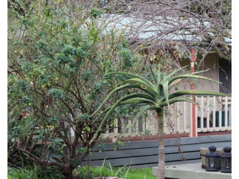 88 St Helena Road, Briar Hill VIC 3088