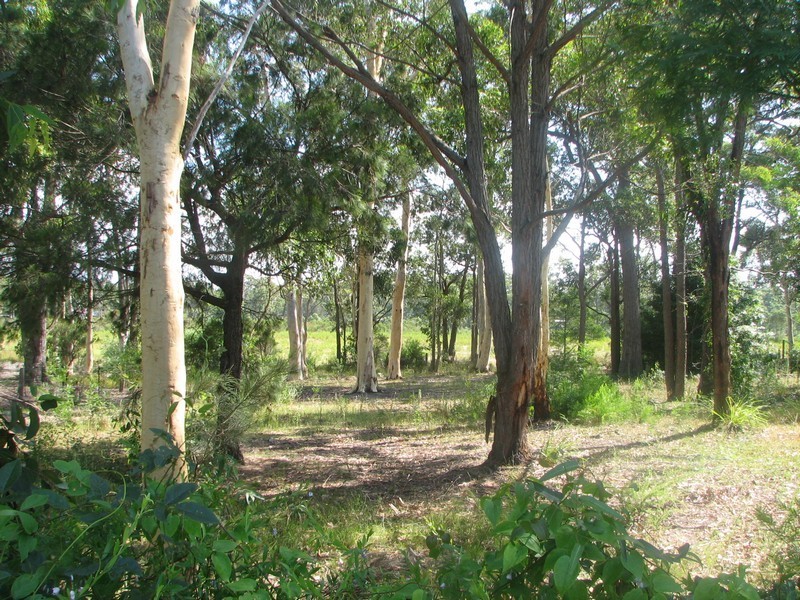 34 & 36 Sanctuary Point Road, Sanctuary Point NSW 2540