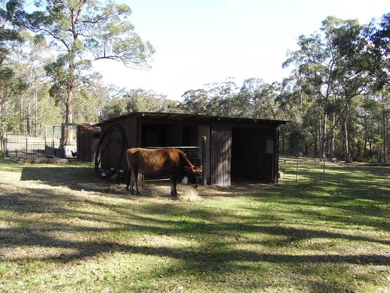 99A Warne Road, Tomerong NSW 2540