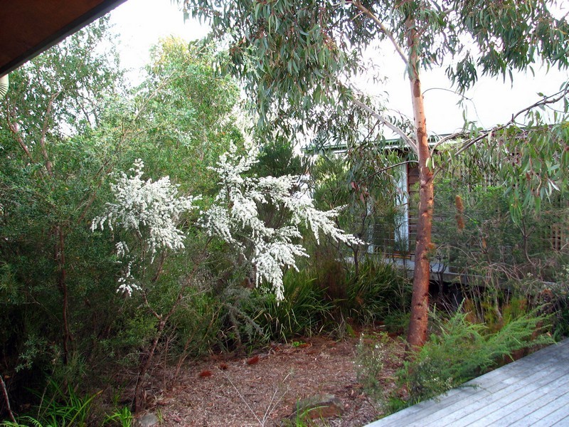 5 Cockbourne Place, Vincentia NSW 2540