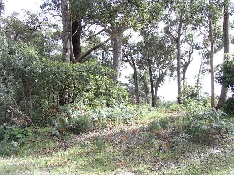 19 & 21 Ethel Street, Sanctuary Point NSW 2540
