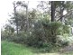 19 & 21 Ethel Street, Sanctuary Point NSW 2540