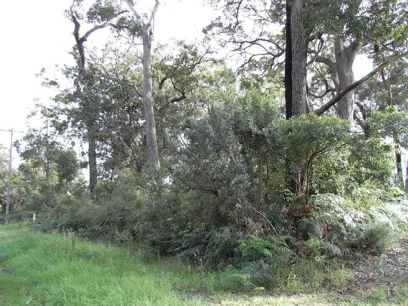 19 & 21 Ethel Street, Sanctuary Point NSW 2540