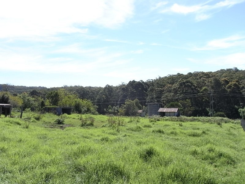63 Pine Forest Road, Tomerong NSW 2540