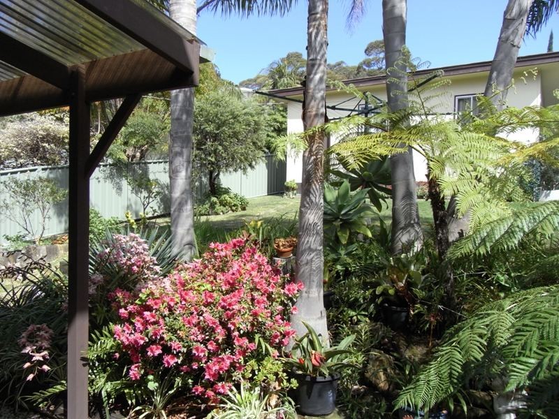 53 Waldegrave Crescent, Vincentia NSW 2540