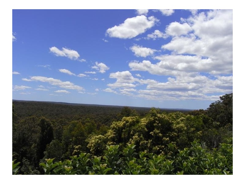 Oldham Close, Tomerong NSW 2540