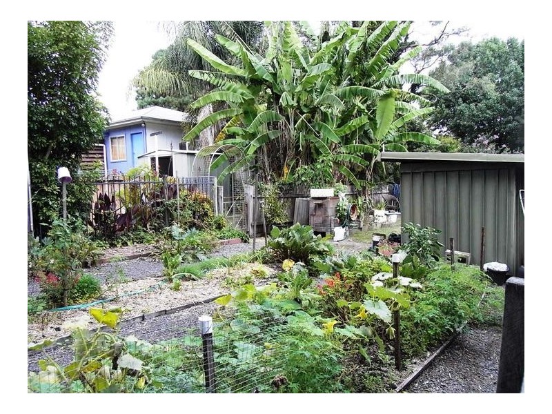 384 Hawken Road, Tomerong NSW 2540