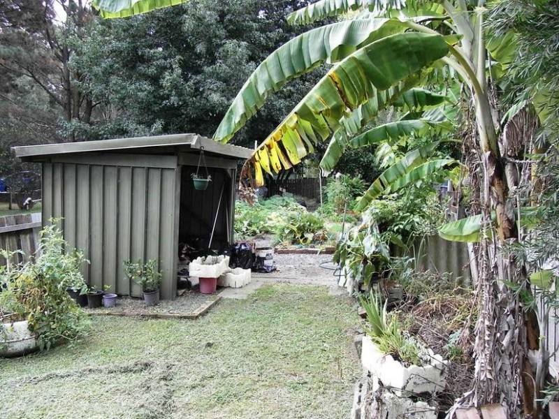 384 Hawken Road, Tomerong NSW 2540