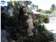 58 Duncan Street, Huskisson NSW 2540