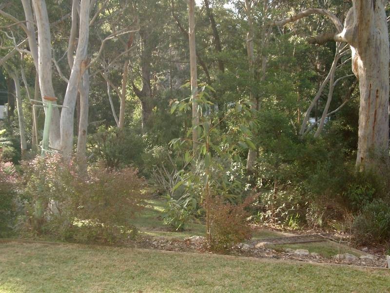 74 Frederick Street, Vincentia NSW 2540