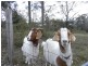 430 Sussex Inlet Road, Sussex Inlet NSW 2540