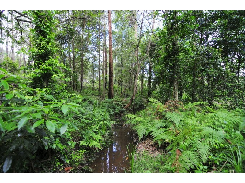 49 Woollamia Road, Falls Creek NSW 2540