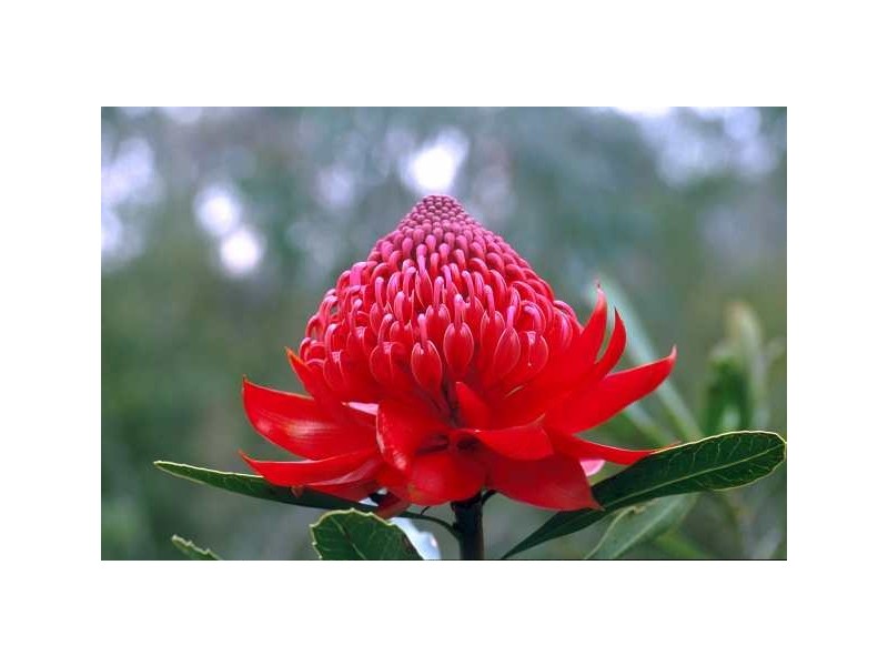 Lot 4,  Princes Highway, Wandandian NSW 2540