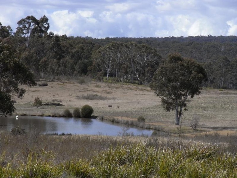 6715 Braidwood Road, Nerriga NSW 2622