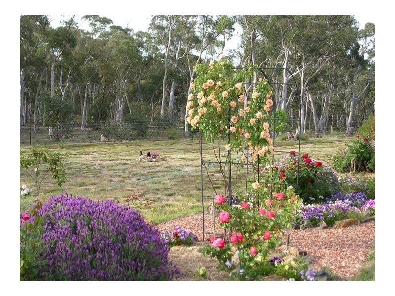 6715 Braidwood Road, Nerriga NSW 2622