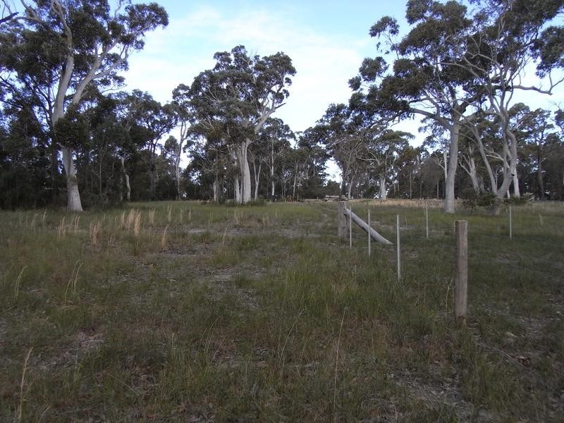 Lot 2, 65 Cambourne Road, Tomerong NSW 2540