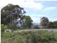 25 Saumarez Street, Vincentia NSW 2540