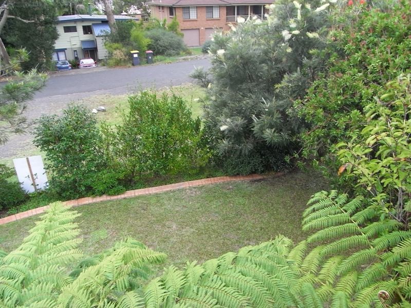 67 Minerva Avenue, Vincentia NSW 2540