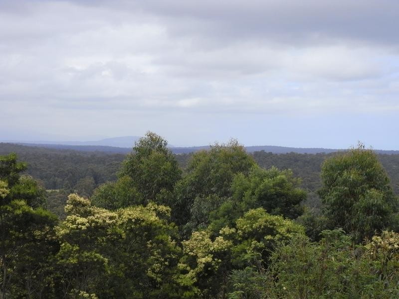 32 Oldham Close, Tomerong NSW 2540
