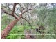 34 Frederick Street, Vincentia NSW 2540